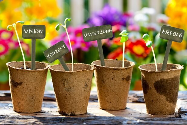 Selbstkontrolle unter Stress - Tempo rausnehmen. Kleine Pflänzchen in unterschiedlichen Töpfen mit Beschriftungen wie Umsetzung, Vision, Erfolg oder Konzept.